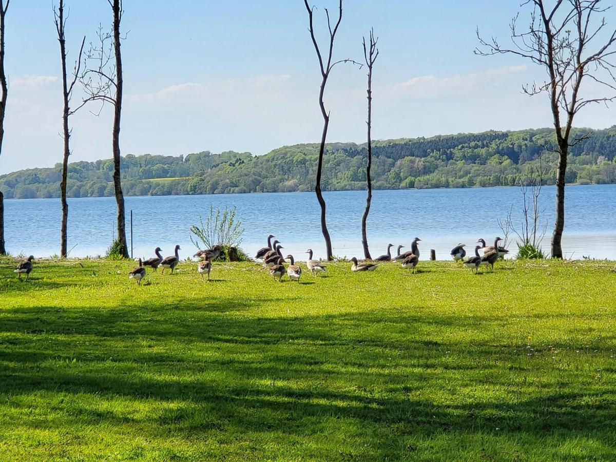 Sommerhus Ved Mosso Med Sokig Skanderborg Dış mekan fotoğraf